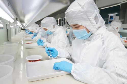 再登世界品質之巔 燕之屋榮獲歐盟BRC IFS雙認證，硬件研發成就卓越